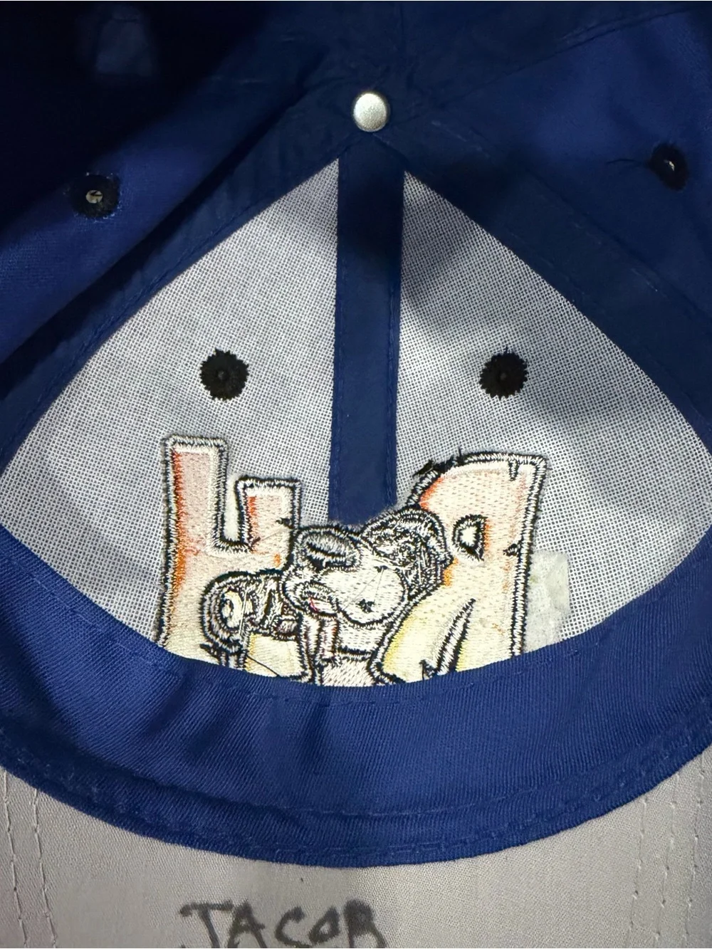 Youth Midland Rockhounds Hat Baseball Cap Blue MiLB Strap-back Adjustable